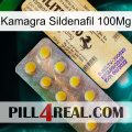 Kamagra Sildenafil 100Mg new06